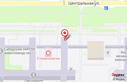 Группа охранных предприятий Казачья Дружина в Новосибирске на карте