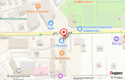 Магазин авторских украшений Vitan art на Центральной улице на карте