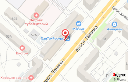 Зоомагазин Кошкин дом на проспекте Ленина на карте