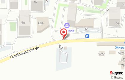 Охраняемая автопарковка Каретный двор на карте