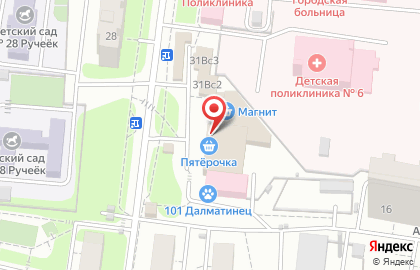 Супермаркет Пятёрочка на улице Мичурина в Химках на карте
