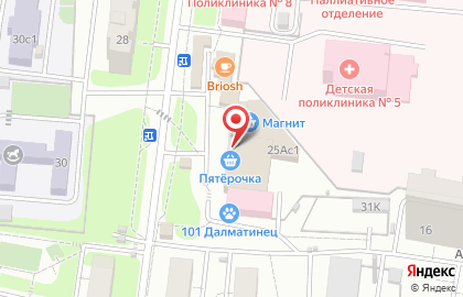 Супермаркет Пятёрочка на улице Мичурина в Химках на карте