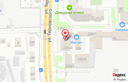 1000 и одна ночь на улице Терновского на карте