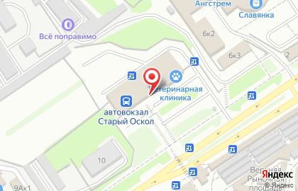 Магазин игрушек в Белгороде на карте
