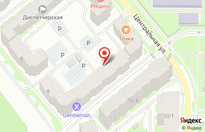 Приемный пункт химчистки Пингвин на Центральной улице, 8 во Всеволожске на карте