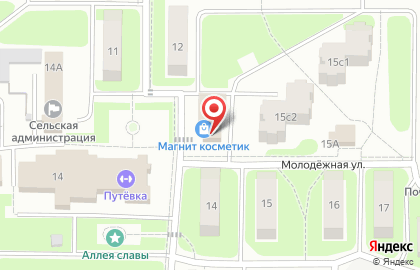 Фирменный алкомаркет Винник на Центральной улице на карте