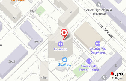 Зебра на Ленинском проспекте на карте