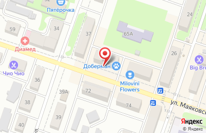 Специализированный мясной магазин на улице Маяковского на карте