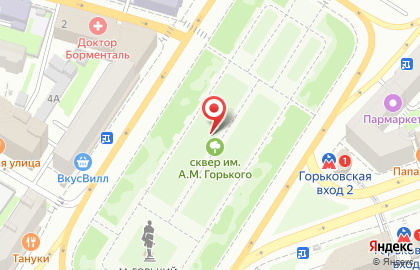 Мистер Икс на улице Максима Горького на карте
