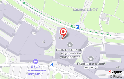 Дальневосточный федеральный университет во Владивостоке на карте