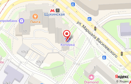 Магазин путешествий Intourist на улице Маршала Василевского на карте