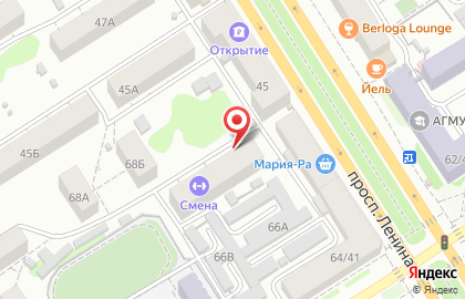 Рельеф на проспекте Ленина на карте