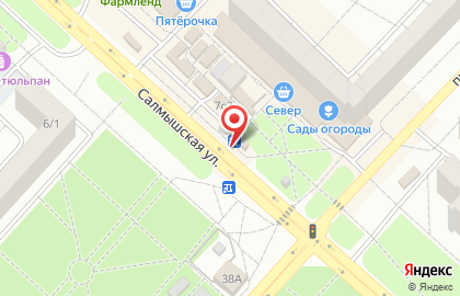 Мясная деревня на Салмышской улице на карте