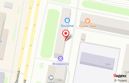 Парикмахерская Фламинго, парикмахерская на улице Ленина на карте