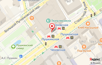 Киоск быстрого питания на Пушкинской набережной на карте