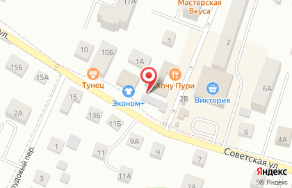 Ветеринарная клиника ParaDogs на Советской улице на карте
