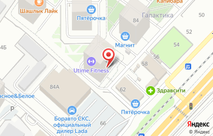 Зоомагазин Шустрый Хвост на карте