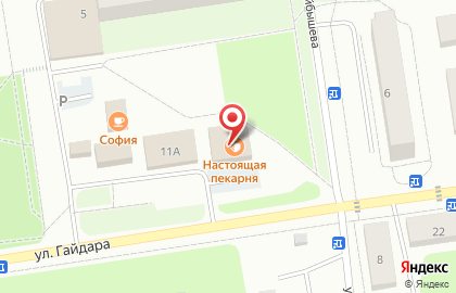Магазин алкогольных напитков Лион на улице Гайдара на карте