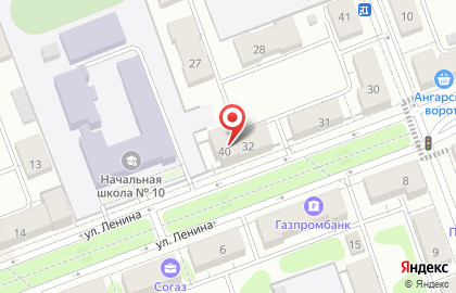 Питомец на карте
