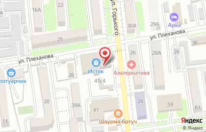 Зоомагазин Феликс на улице Горького на карте