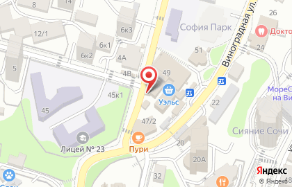 Пивной бар Берлога в Центральном районе на карте