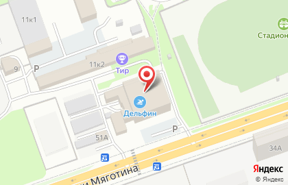 Бассейн Дельфин в Кургане на карте