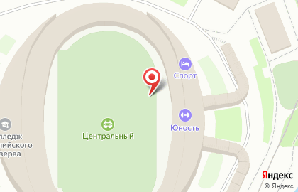 Центральный стадион на улице Ленина на карте
