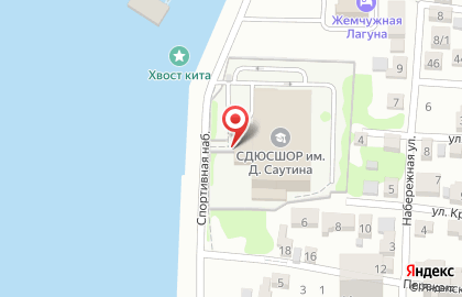 Дворец подводного спорта ДОСААФ России на карте