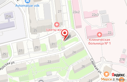 Детская развивающая студия Маша и Миша в Фрунзенском районе на карте