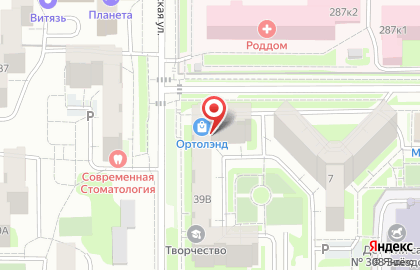 Торгово-монтажная компания Безопасность на улице Молодогвардейцев на карте