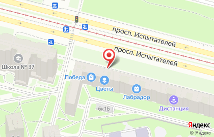Эвакуаторы Санкт-Петербурга на карте