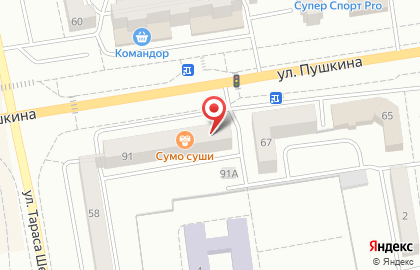 Художественный салон ИП Анисиферова Т.Б. на улице Пушкина на карте