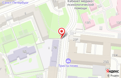 Детский сад №51, Петроградский район на карте