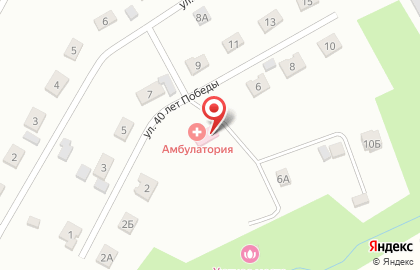 Амбулатория, с. Сосновка на карте