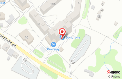 Магазин у дома Бристоль на Революционной улице на карте