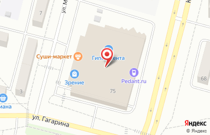 Сервисный центр Pedant.ru на улице Гагарина, 75 на карте