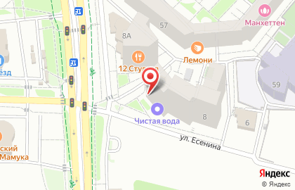 Зоомагазин Любимчик на улице Есенина на карте