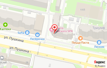 Аптека Доктор Столетов на улице Пушкина на карте