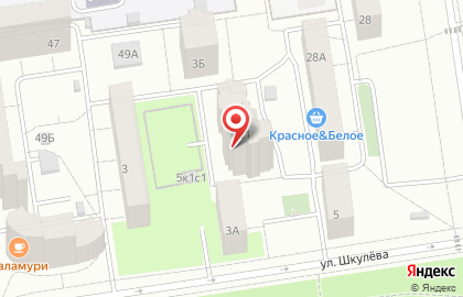 Средняя общеобразовательная школа №687 с дошкольным отделением на улице Шкулёва на карте