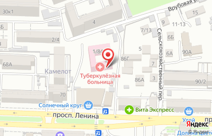 Специализированная туберкулезная больница Ростовской области на улице Ленина на карте