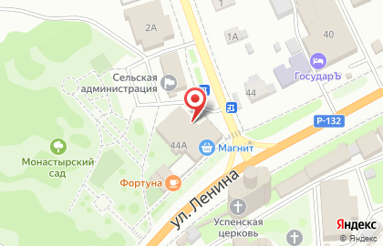 Салон цветов Камелия на улице Ленина на карте