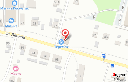 Магазин Теремок на улице Ленина на карте