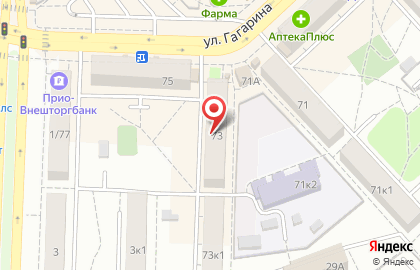 фокус на улице Гагарина на карте