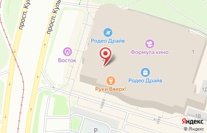 Интернет-магазин профессиональной косметики Шпилька на проспекте Культуры на карте