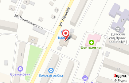 Продуктовый магазин Калина на улице Ленина на карте