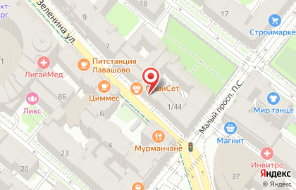 Зоомагазин PetShop.ru на Большой Зелениной улице на карте