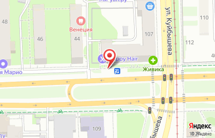 Сеть салонов Мир цветов на улице Чкалова на карте