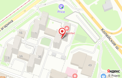 Медицинский центр Парацельс на улице Гагарина на карте