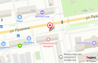 Винтаж на улице Пушкина на карте