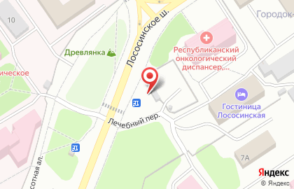 Шиномонтажная мастерская на Лососинском шоссе, 5Б на карте